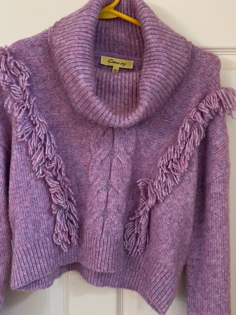 Circus by Sam Edelman Purple Fringe Cable Knit Turtleneck Sweater